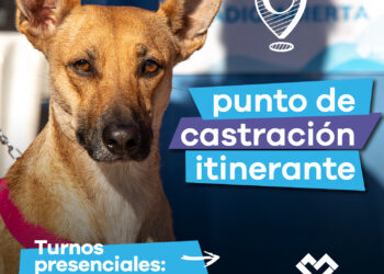 LANÚS GOBIERNO LLEVA EL PUNTO DE CASTRACIÓN ITINERANTE A LANÚS OESTE
