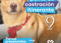 LANÚS GOBIERNO LLEVARÁ A CABO UN NUEVO PUNTO DE CASTRACIÓN ITINERANTE EN LANÚS ESTE
