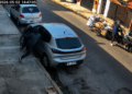 error en Lanús: le robaron el auto a una madre frente a su bebé y todo quedó filmado