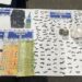 Golpe al narcomenudeo en Lanús: dos detenidos y más de 200 dosis de pasta base secuestradas