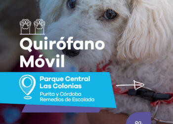 LANÚS GOBIERNO SIGUE CON EL QUIRÓFANO MÓVIL EN EL PARQUE CENTRAL LAS COLONIAS