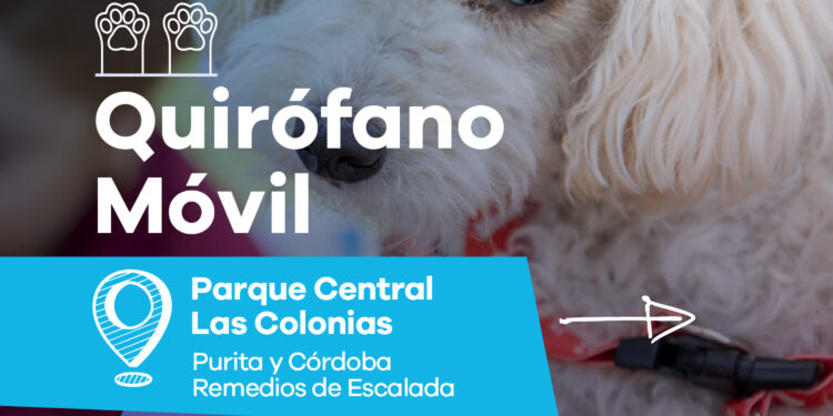 LANÚS GOBIERNO SIGUE CON EL QUIRÓFANO MÓVIL EN EL PARQUE CENTRAL LAS COLONIAS