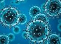 Influenza: crecen los casos y preocupa el impacto en Buenos Aires
