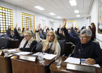 El HCD Lanús designó a las nuevas autoridades de la Defensoría del Pueblo