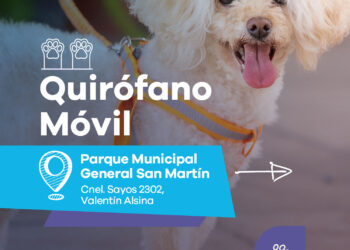 LANÚS GOBIERNO SIGUE CON EL QUIRÓFANO MÓVIL EN EL PARQUE MUNICIPAL GENERAL SAN MARTÍN