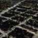 LANÚS GOBIERNO CONCRETÓ EL RECAMBIO DE 200 LUMINARIAS LED EN GERLI OESTE