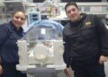 Héroes de uniforme: policías asistieron un parto de emergencia en plena calle de Lanús