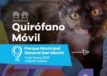 LANÚS GOBIERNO MANTIENE EL QUIRÓFANO MÓVIL EN EL PARQUE MUNICIPAL GENERAL SAN MARTÍN