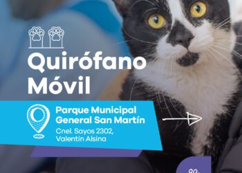 LANÚS GOBIERNO CONTINÚA CON EL QUIRÓFANO MÓVIL EN EL PARQUE MUNICIPAL GENERAL SAN MARTÍN