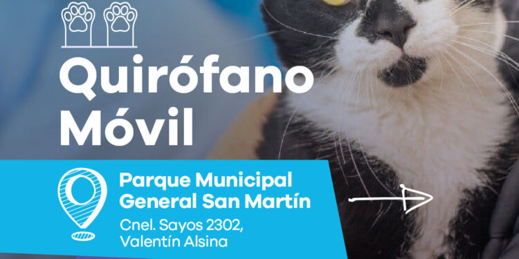 LANÚS GOBIERNO CONTINÚA CON EL QUIRÓFANO MÓVIL EN EL PARQUE MUNICIPAL GENERAL SAN MARTÍN