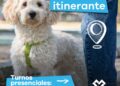 LANÚS GOBIERNO DESARROLLARÁ UN NUEVO PUNTO DE CASTRACIÓN ITINERANTE EN VALENTÍN ALSINA