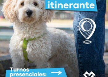 LANÚS GOBIERNO DESARROLLARÁ UN NUEVO PUNTO DE CASTRACIÓN ITINERANTE EN VALENTÍN ALSINA