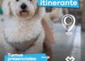 LANÚS GOBIERNO LLEVARÁ ADELANTE UN NUEVO PUNTO DE CASTRACIÓN ITINERANTE EN VALENTÍN ALSINA