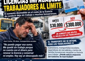 LICENCIAS IMPAGABLES: TRABAJADORES DEL AMBA, ENTRE EL AUMENTO DE COSTOS Y EL DESEMPLEO